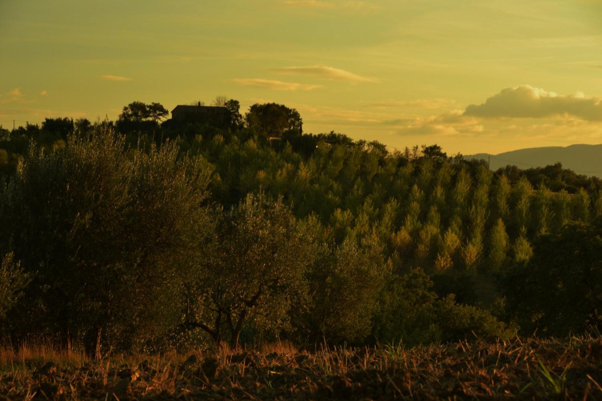 Agriturismo La Casetta Del Sole Villastrada  Esterno foto