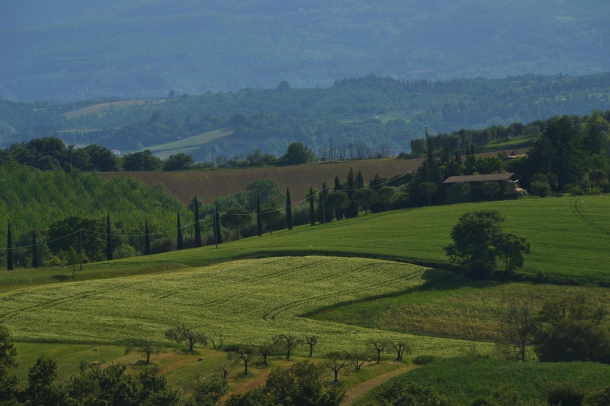 Agriturismo La Casetta Del Sole Villastrada  Esterno foto