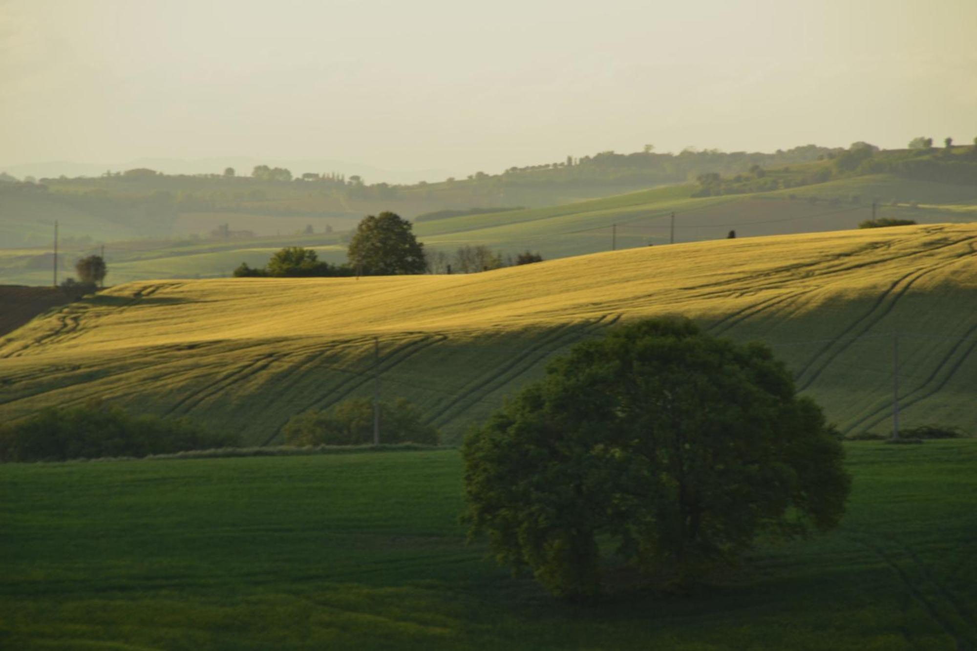 Agriturismo La Casetta Del Sole Villastrada  Esterno foto